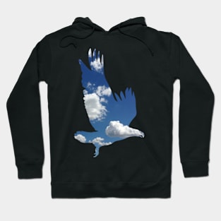 Eagle Falcon Wild Animal Abstract Falconer Raptors  Birds of Prey Sky Falconry Gift felon Shirt Cute Hoodie